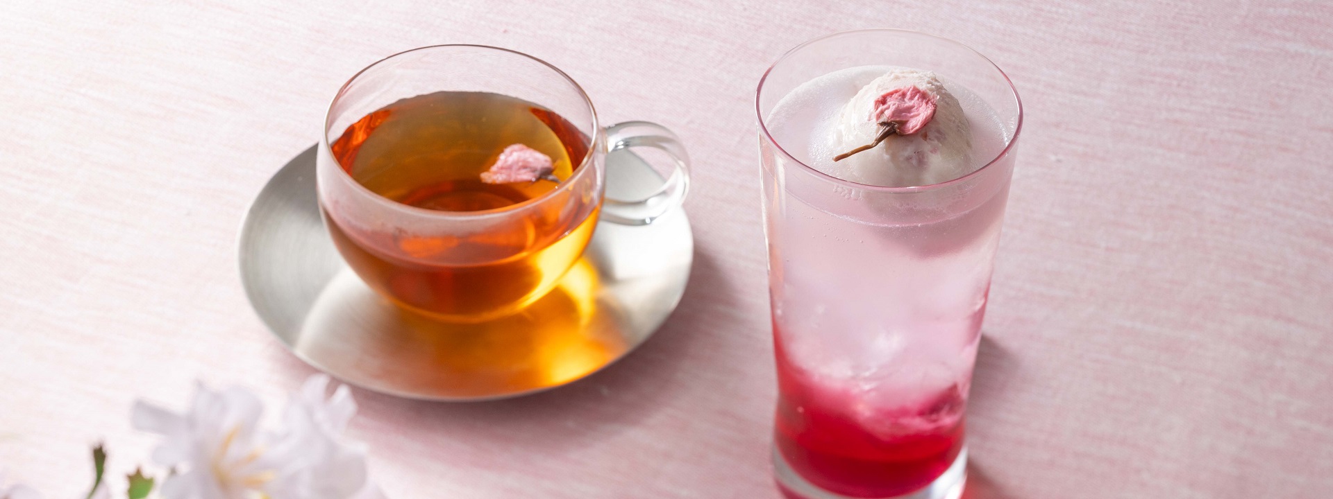 桜セレクション 2026