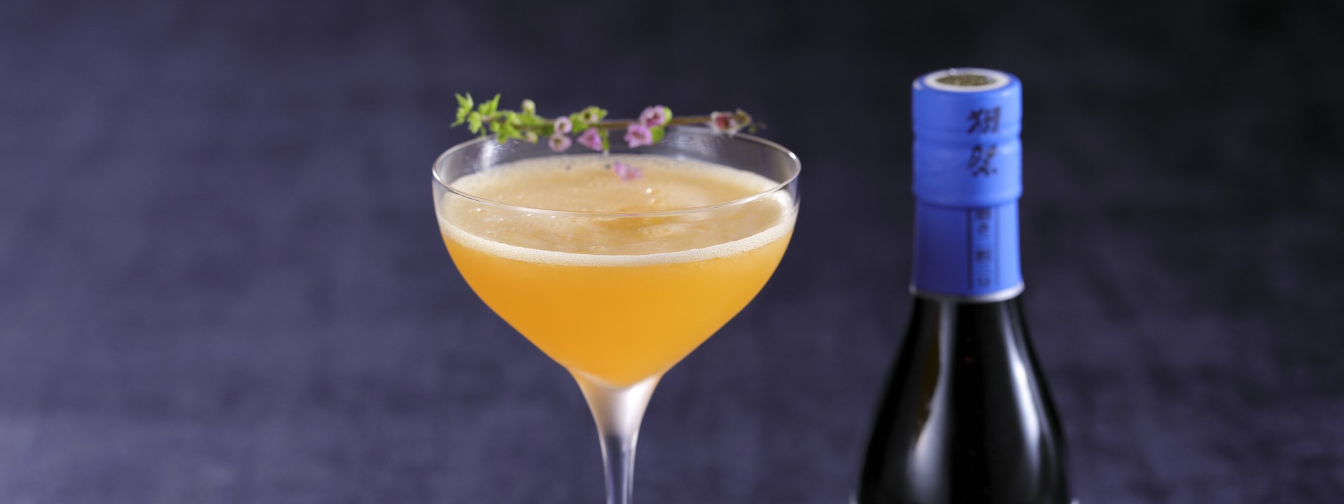 獺祭×FONTANA DI TREVI